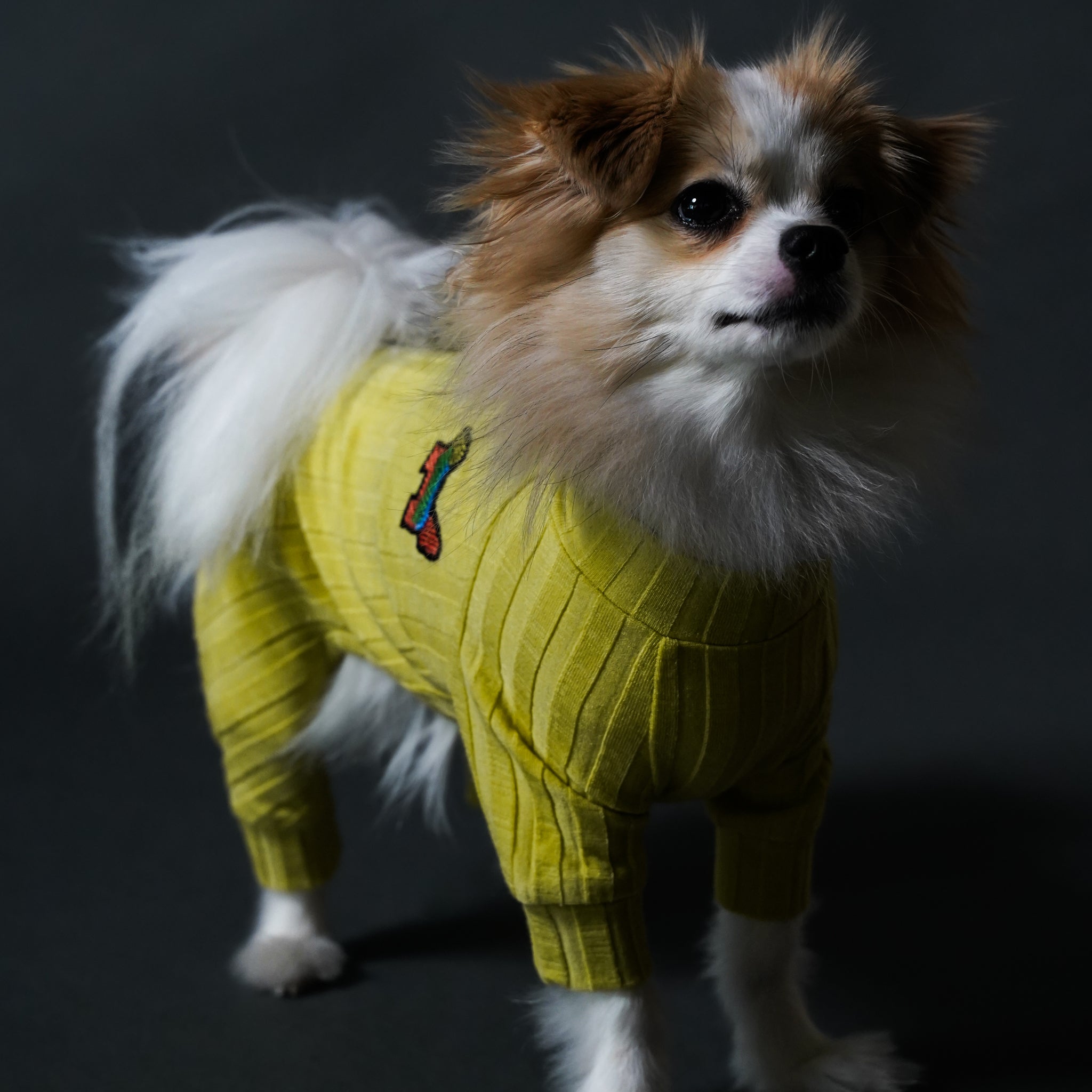 STRECH_STRIPE_YELLOW