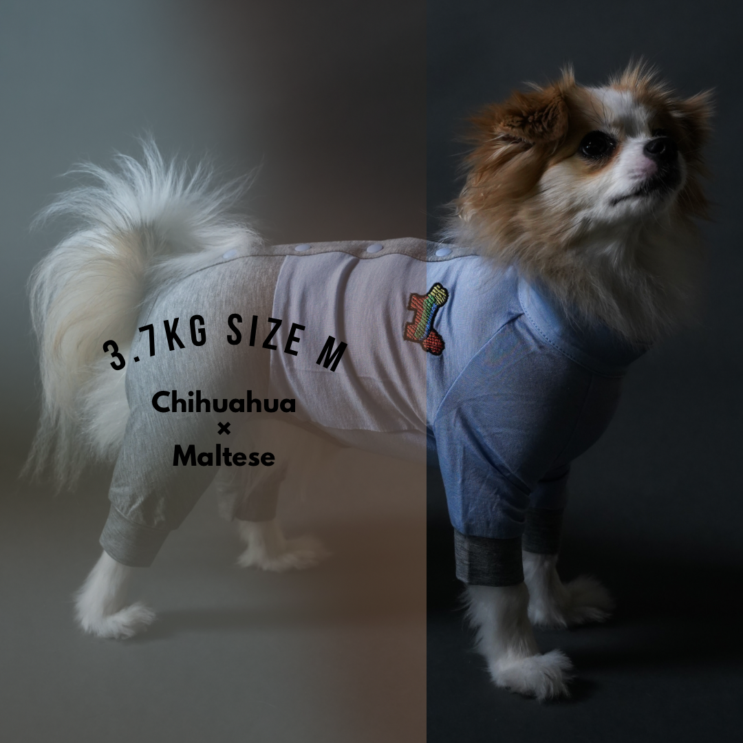 犬服 SS わんこの普段着 くじら