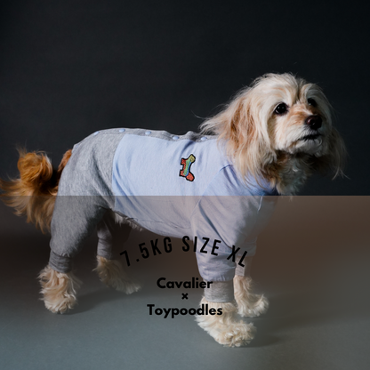 TOKYOWANG(犬ロンパース/ドッグウェア/犬服ブランド) – TOKYO WANG TOKYOWANG(犬ロンパース/ドッグウェア/犬服ブランド) – TOKYO WANG