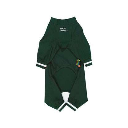 typeB_COOL_GREEN