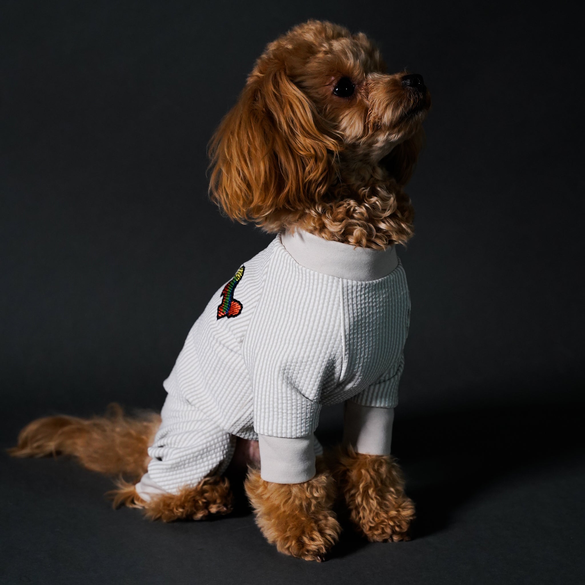 TOKYO WANG（着せやすい犬ロンパース）