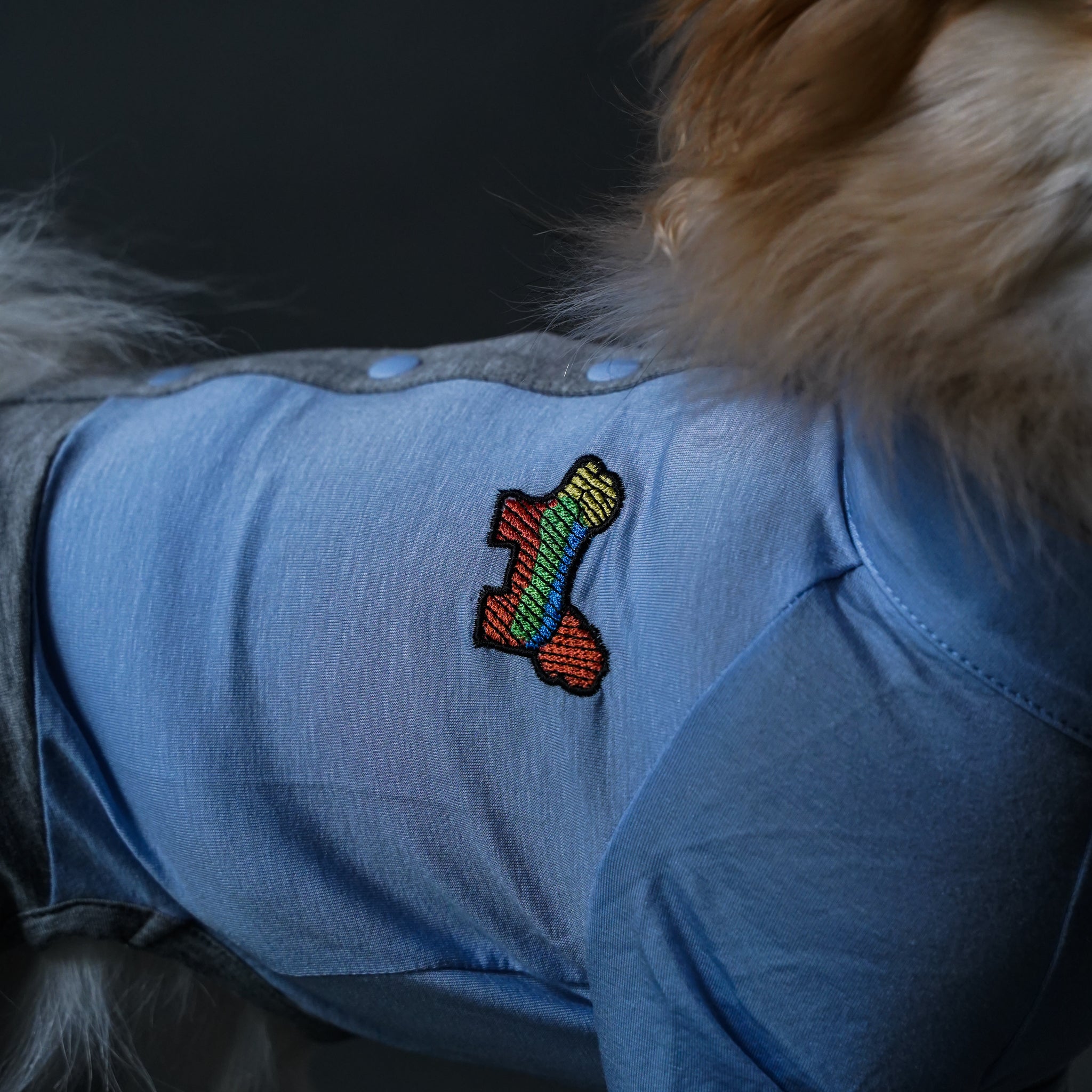 BACK_BUTTON_BLUE