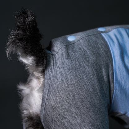 BACK_BUTTON_BLUE