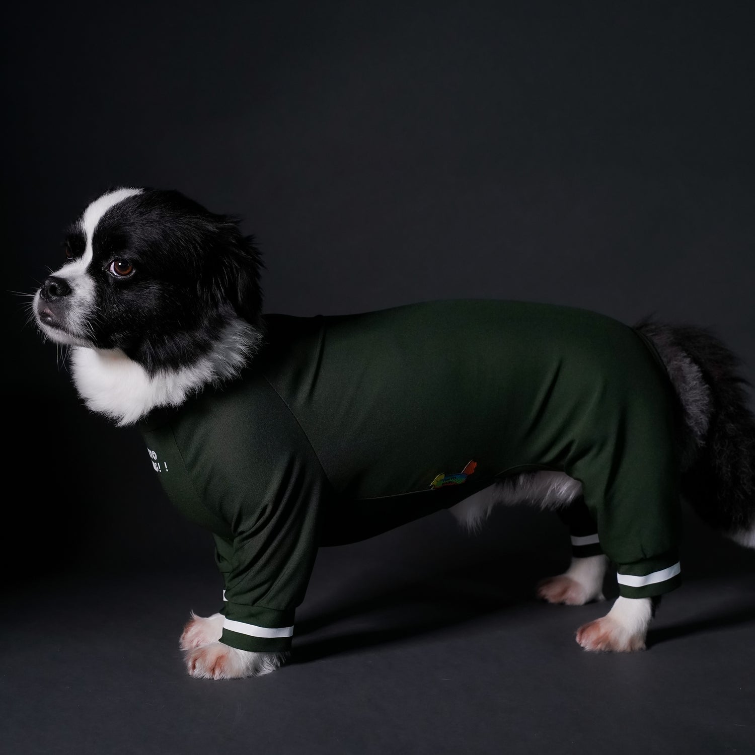 typeB_COOL_GREEN