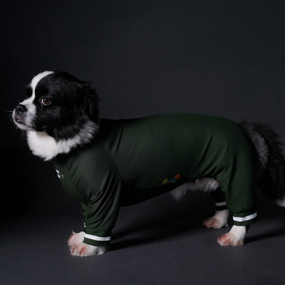 typeB_COOL_GREEN