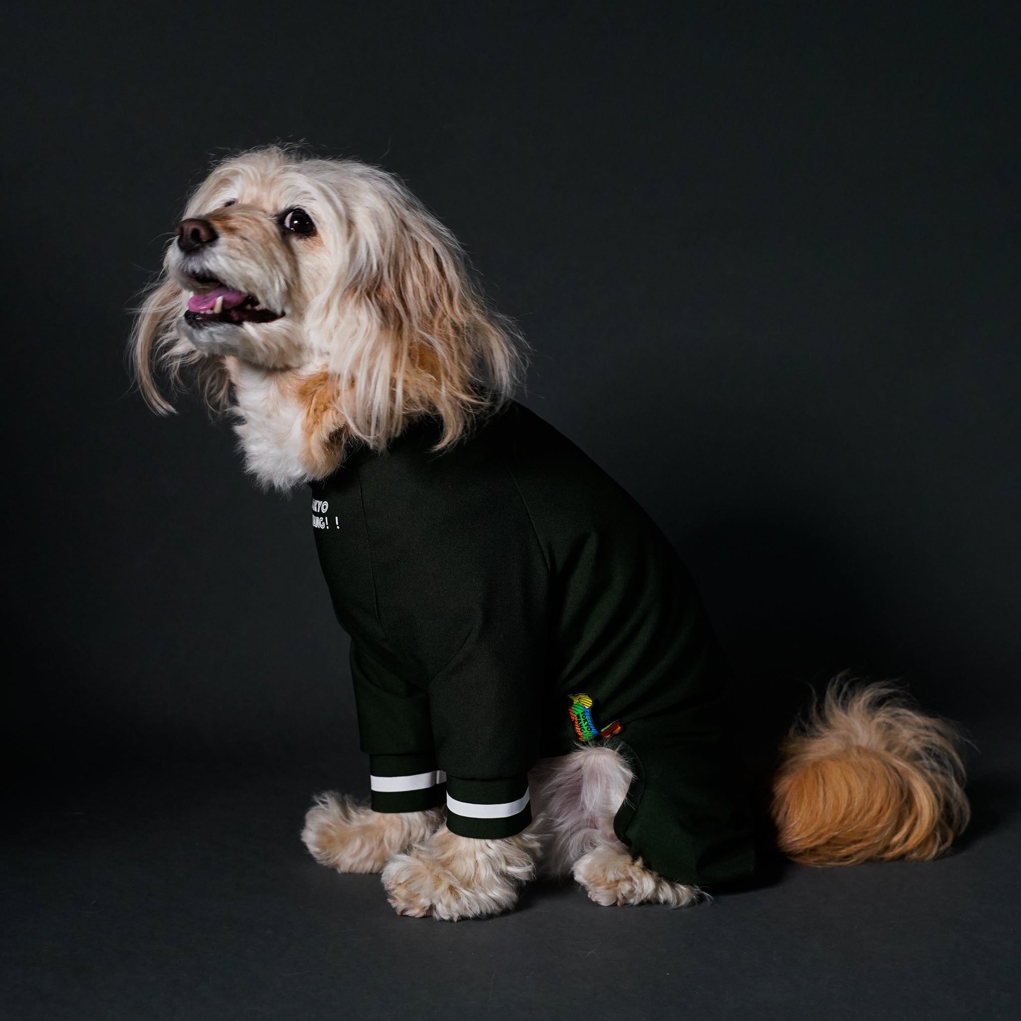 typeB_COOL_GREEN