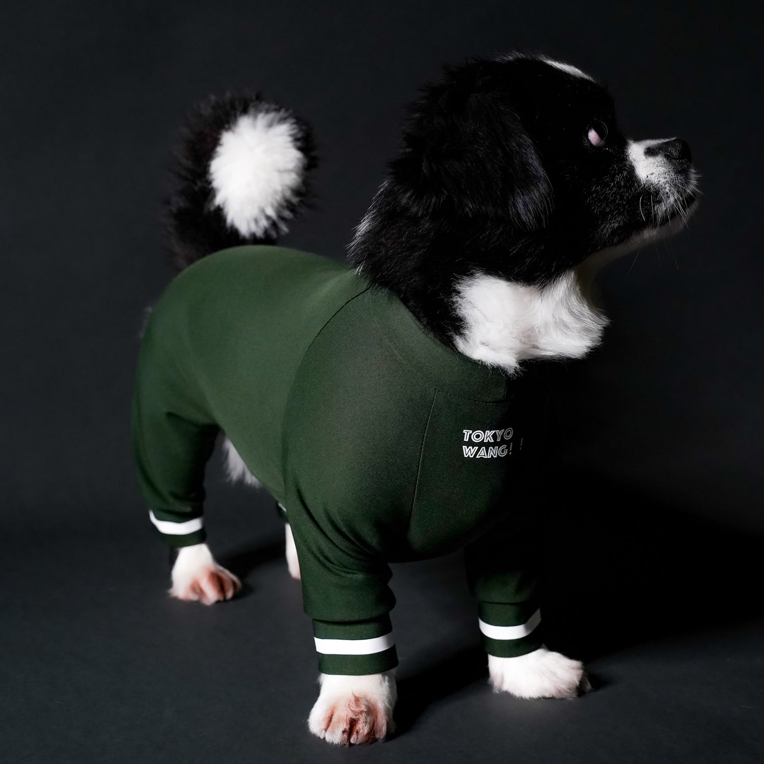 typeB_COOL_GREEN