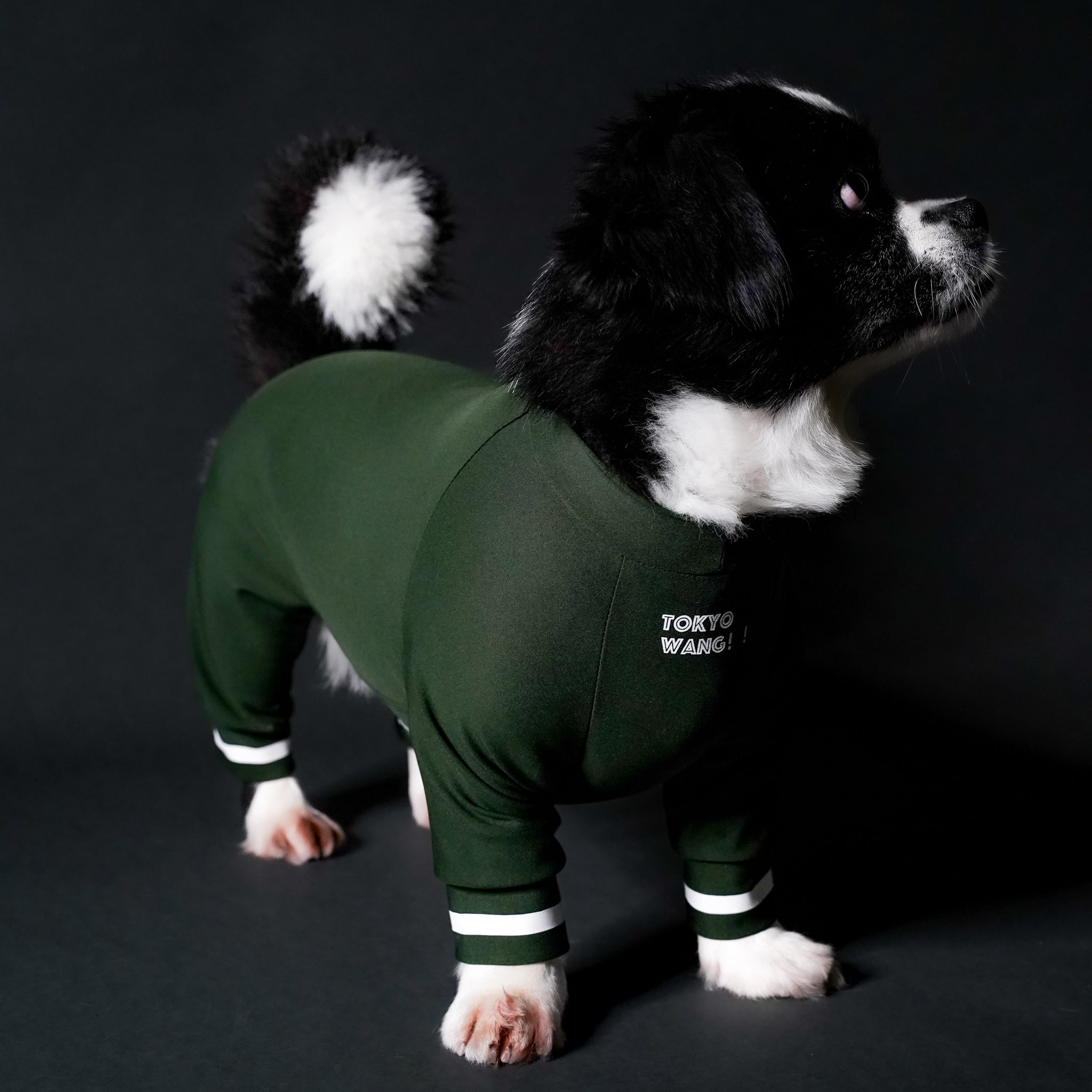 typeB_COOL_GREEN