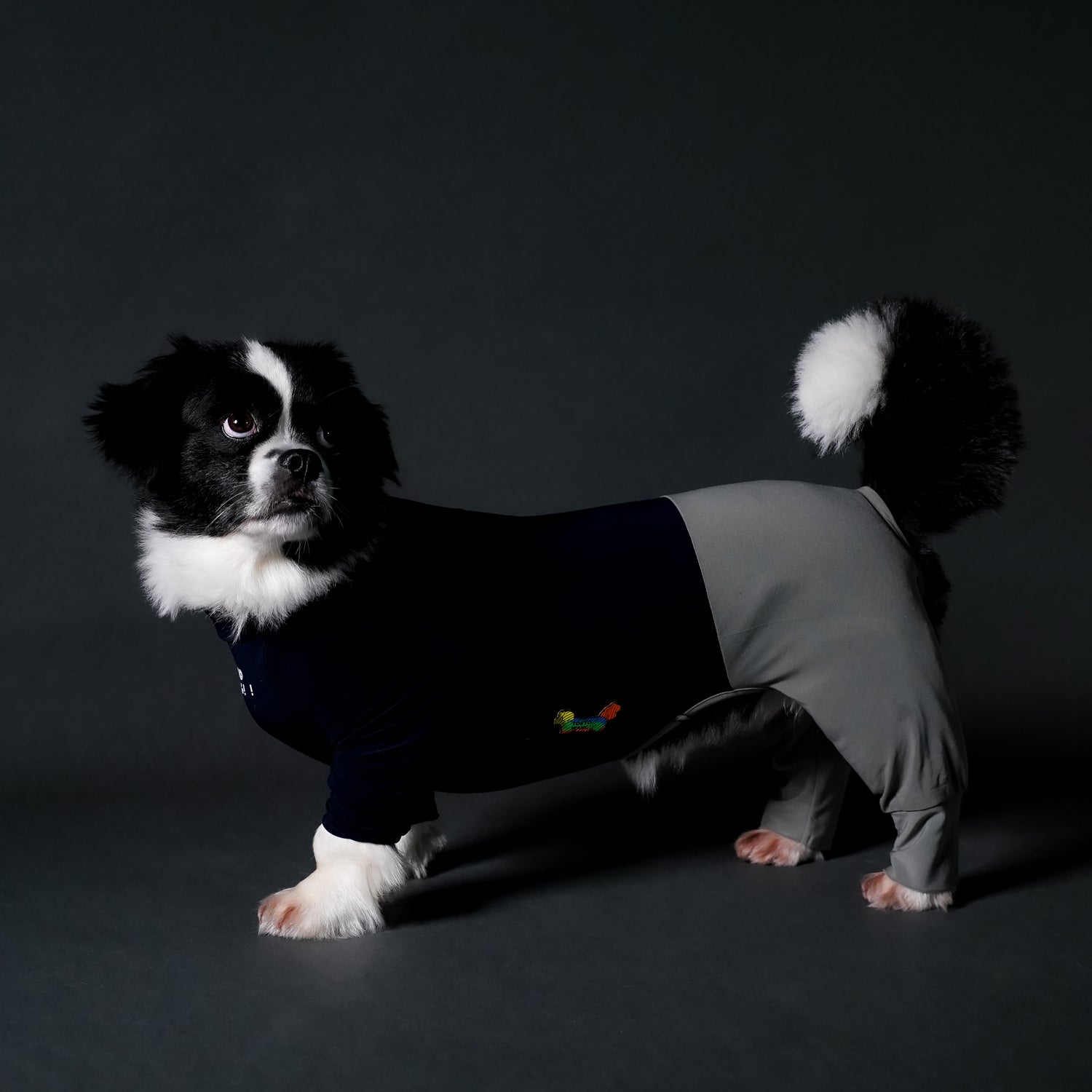 SOFT_NAVY