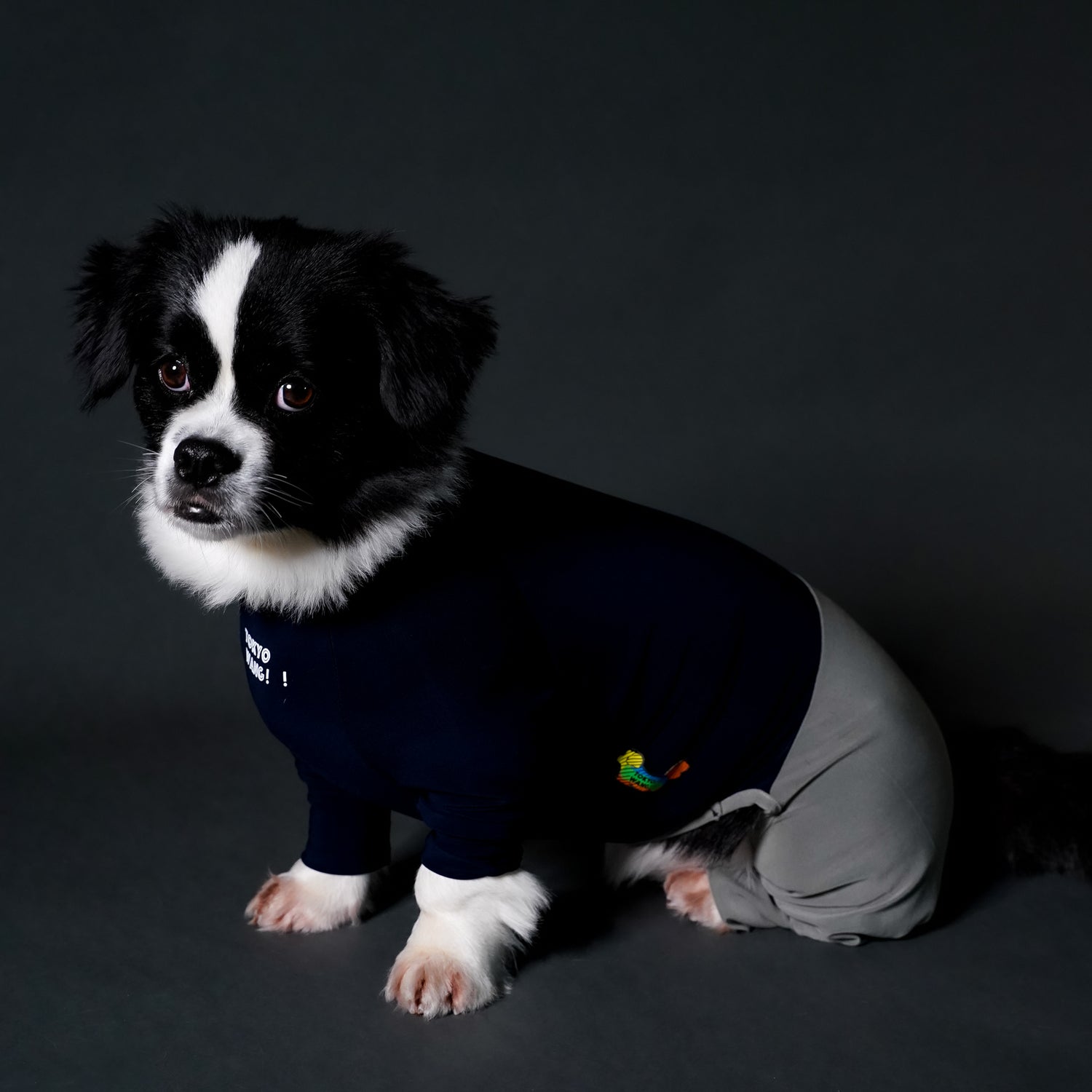 SOFT_NAVY