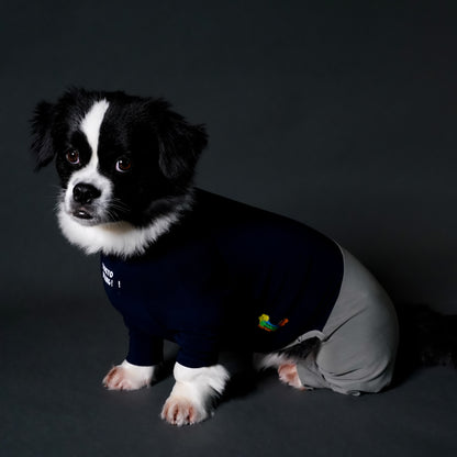 SOFT_NAVY
