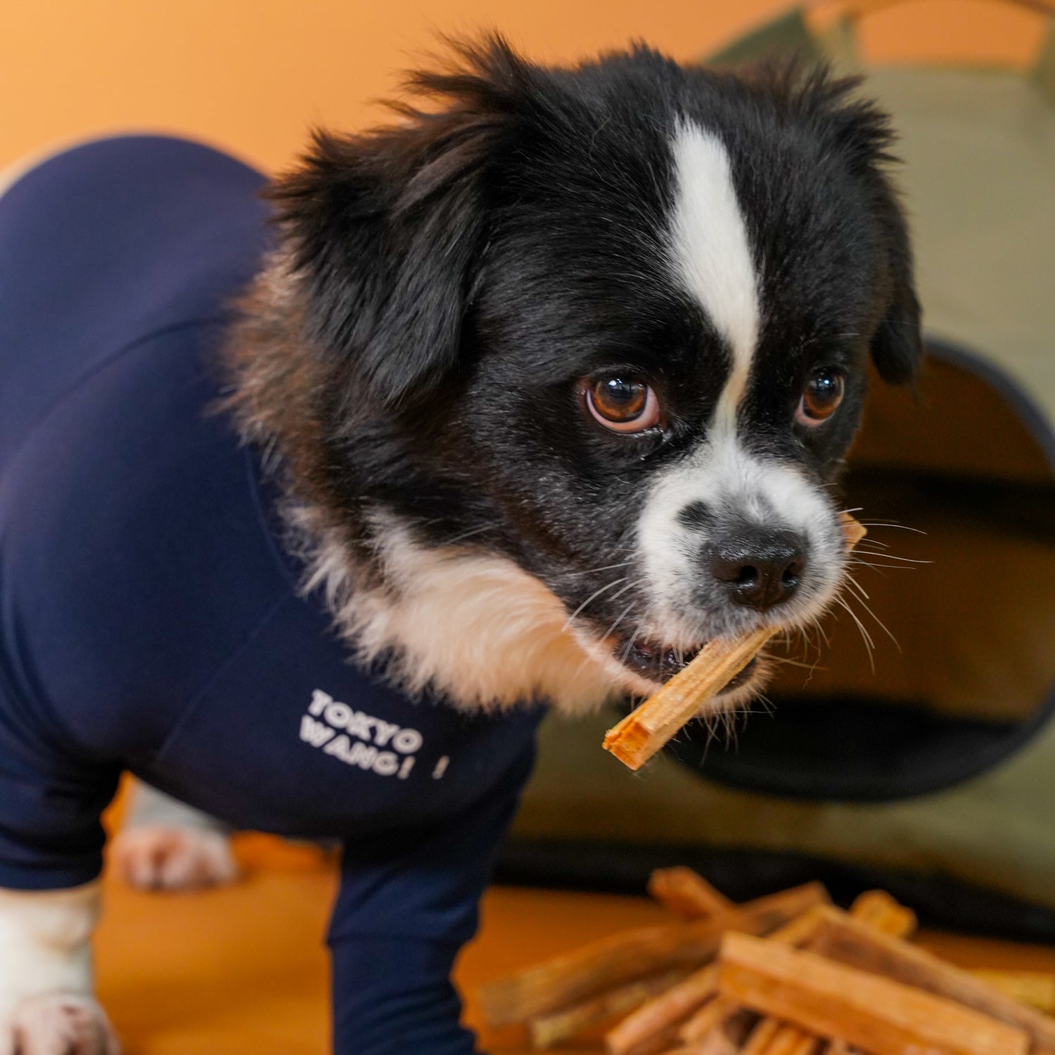 SOFT_NAVY
