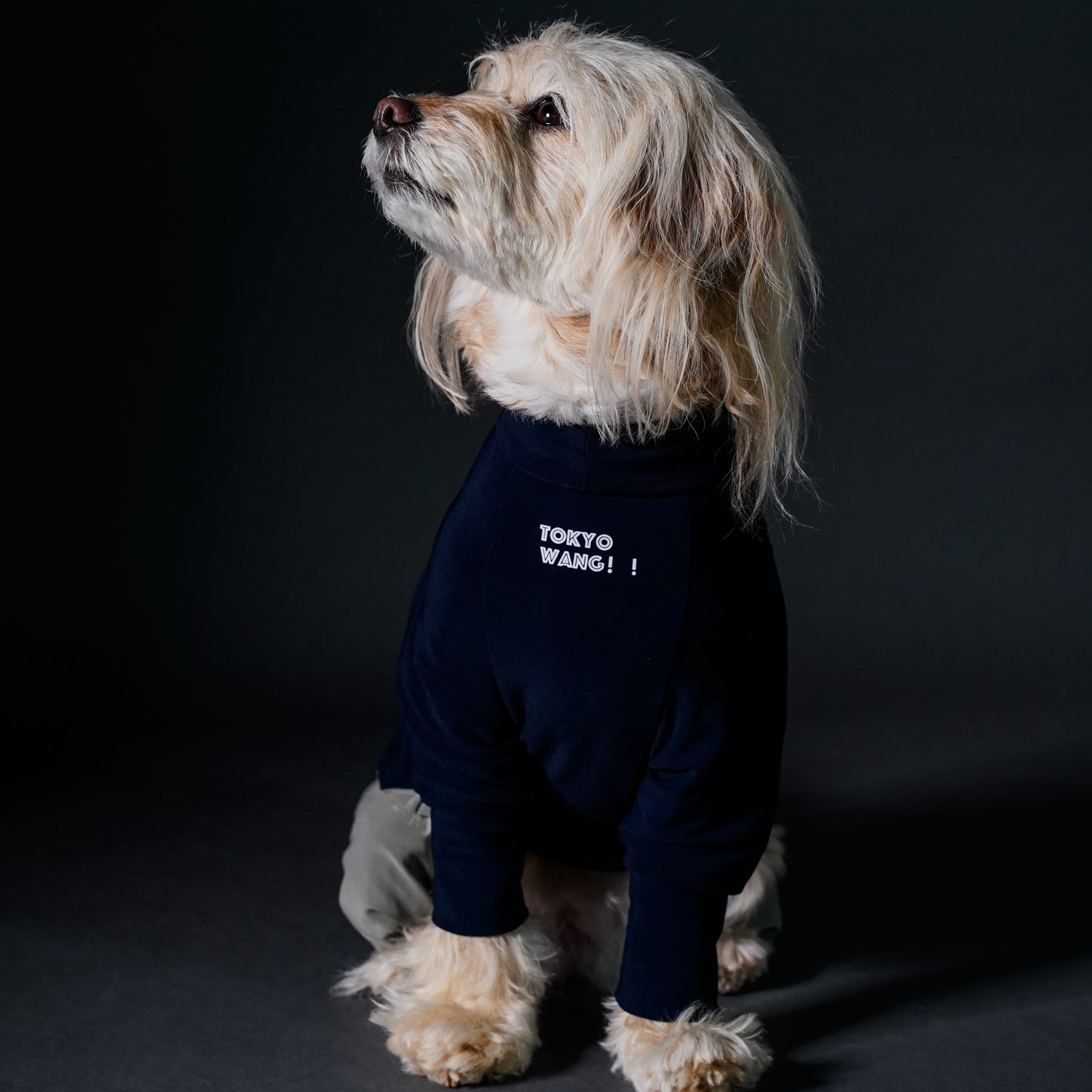 SOFT_NAVY